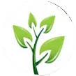 Green Air Fresheners