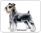 Schnauzer Air Freshener
