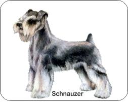  Schnauzer Dog Air Freshener | My Air Freshener