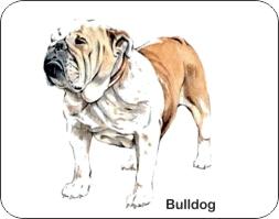  Bulldog Dog Air Freshener | My Air Freshener