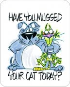  Have You Mugged You Cat Today?  Dog Car Air Freshener | My Air Freshener