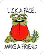 Lick A Face Make A Friend  Air Freshener