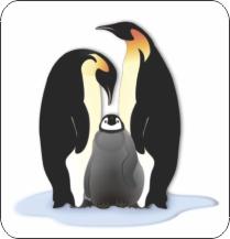  Penguins Air Freshener | My Air Freshener