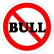  NO BULL Car Air Freshener | My Air Freshener