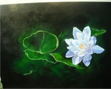  Water Lily Car Air Freshener | My Air Freshener
