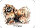 Pekingese Air Freshener