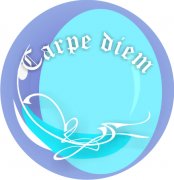  Carpe Diem Car Air Freshener | My Air Freshener