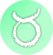  Taurus Zodiac Sign Air Freshener | My Air Freshener