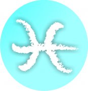  Pisces Zodiac Sign Air Freshener | My Air Freshener