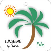  Green Air Fresheners | Environmentally Friendly Car Air Fresheners - Sunshine Palm | My Air Freshener