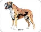 Boxer Air Freshener