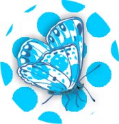  Turquoise Beauty Butterfly Car Air Freshener | My Air Freshener