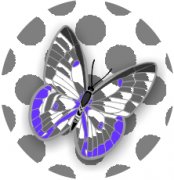  Sweet Mystery Butterfly Car Air Freshener | My Air Freshener